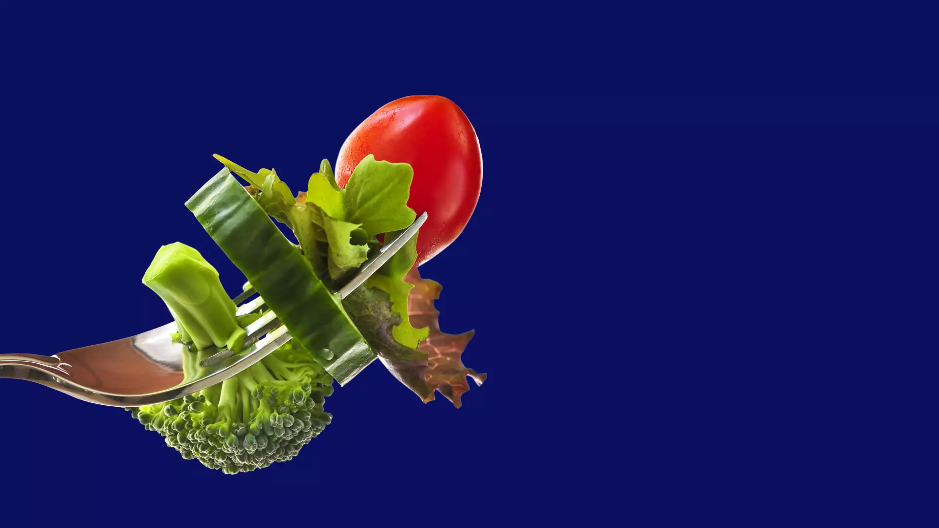 Equilíbrio Vital: Como a Flora Intestinal Influencia a Perda de Peso e o Bem-estar